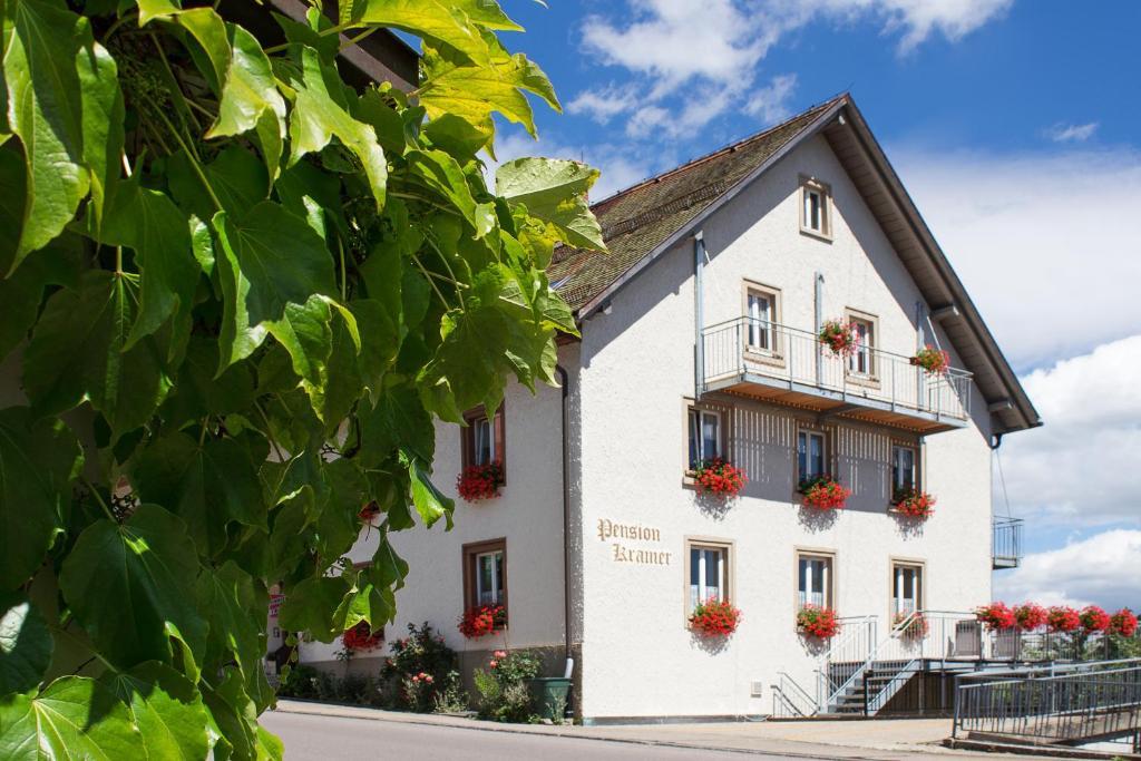 Pension Kramer Grafenhausen Kültér fotó
